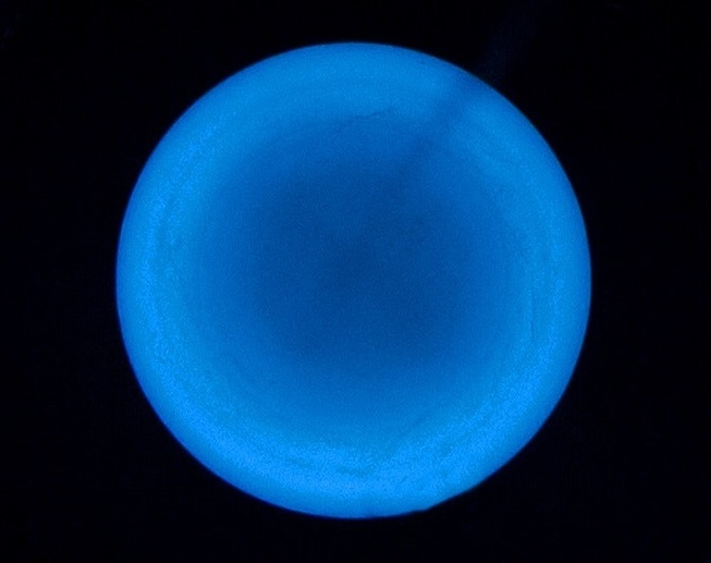 Image showing fluorescence due to glycated collagen